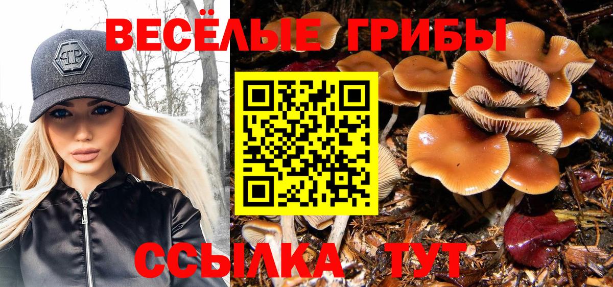 Бузулук  Псилоцибиновые грибы мицелий  Вход с VPN  Псилоцибиновые грибы Psilocybe 